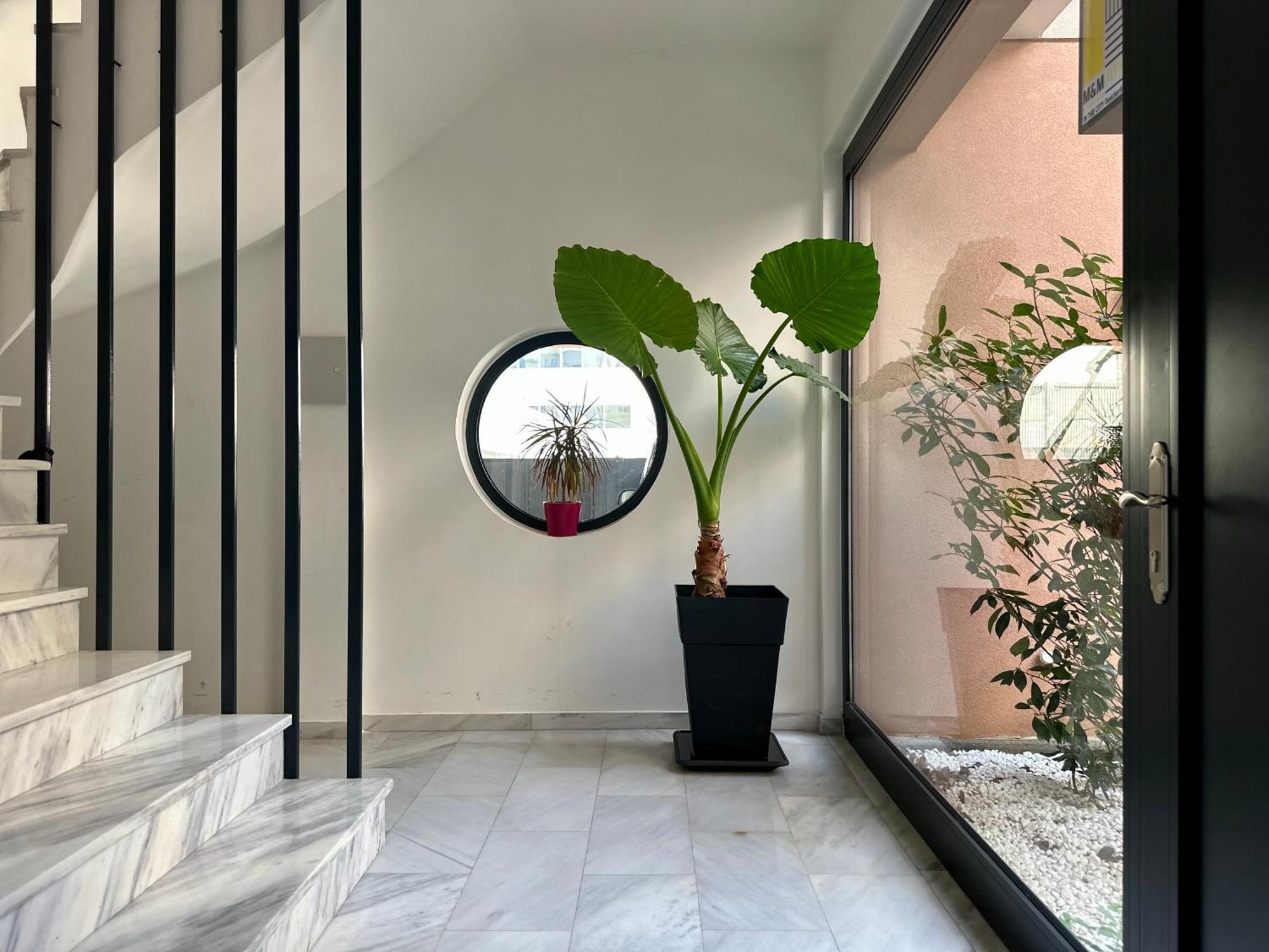 Family Studio